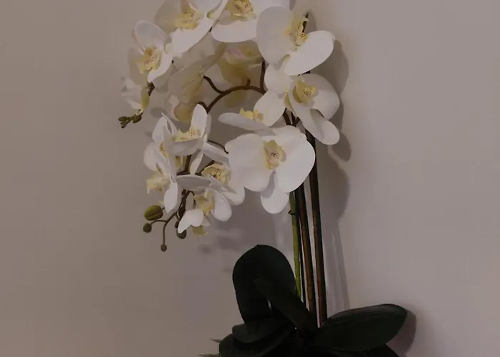 Apartmani Eva